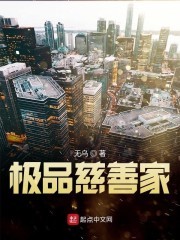 极品慈善家封面