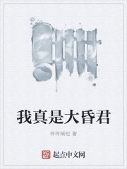 我真是大昏君封面