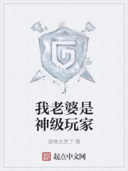 我老婆是神级玩家封面