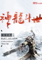神龙斗世封面