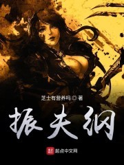 振夫纲封面
