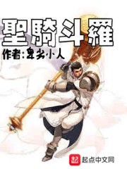 圣骑斗罗封面