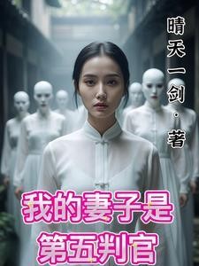 我睡了妻子偷偷去地府审案封面