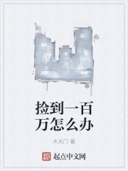 捡到一百万怎么办封面