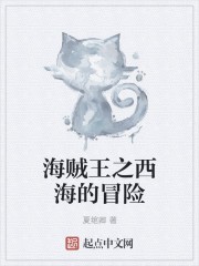 海贼王之西海的冒险封面