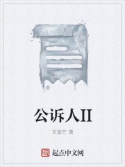 公诉人II封面