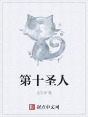 第十圣人封面