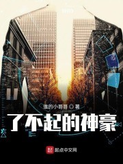 了不起的神豪封面