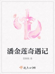 潘金莲奇遇记封面
