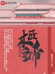 我真不是木匠皇帝封面