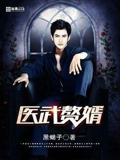医武赘婿封面