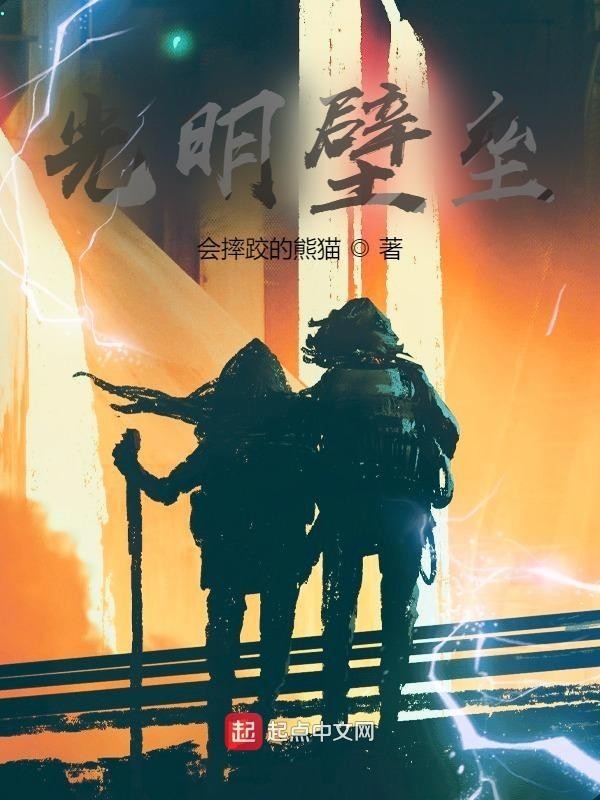光明壁垒封面