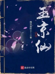 玉京仙封面