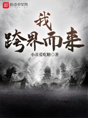 我跨界而来封面