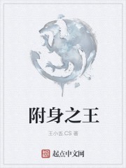 附身之王封面