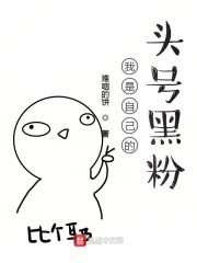 我是自己的头号黑粉封面