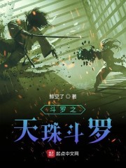 斗罗之天珠斗罗封面