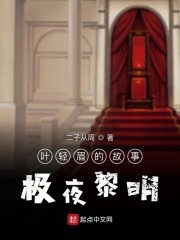 叶轻眉的故事极夜黎明封面