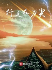 行走在刀尖封面