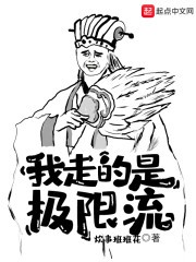 我走的是极限流封面