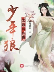 少年狼之谁与争锋封面