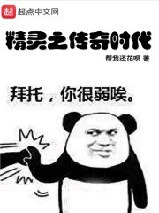 精灵之传奇时代封面