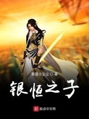 银恒之子封面