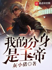 我的分身是玉皇大帝封面