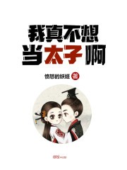 我真不想当太子啊封面