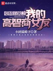 爱情公寓之我的高智商女友封面