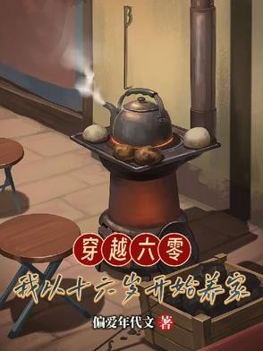 穿越六零,我从十六岁开始养家封面