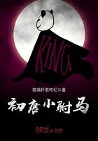 初唐小驸马封面
