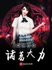 神仙女友诸葛大力封面