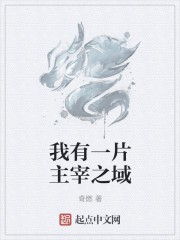 我有一片主宰之域封面