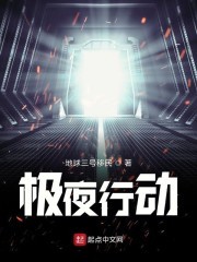 极夜行动封面