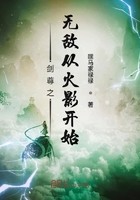 剑尊之无敌从火影开始封面
