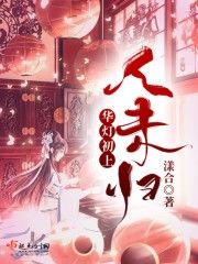 华灯初上人未归封面