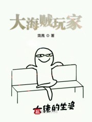 大海贼玩家封面