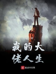 我的大佬人生封面