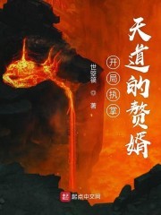 开局执掌天道的赘婿封面