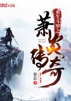 斗罗之萧炎传奇封面