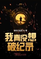 我真没想破纪录封面