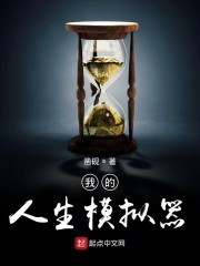 我的人生模拟器封面