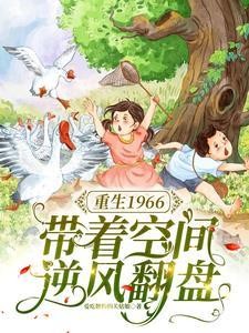 重生1966,带着空间逆风翻盘封面