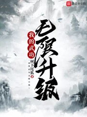 我的武功无限升级封面