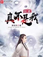 反派真不是我封面