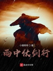 雨中仗剑行封面