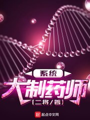 大制药师系统封面