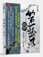明朝第一竖子封面