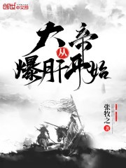 大帝从爆肝开始封面